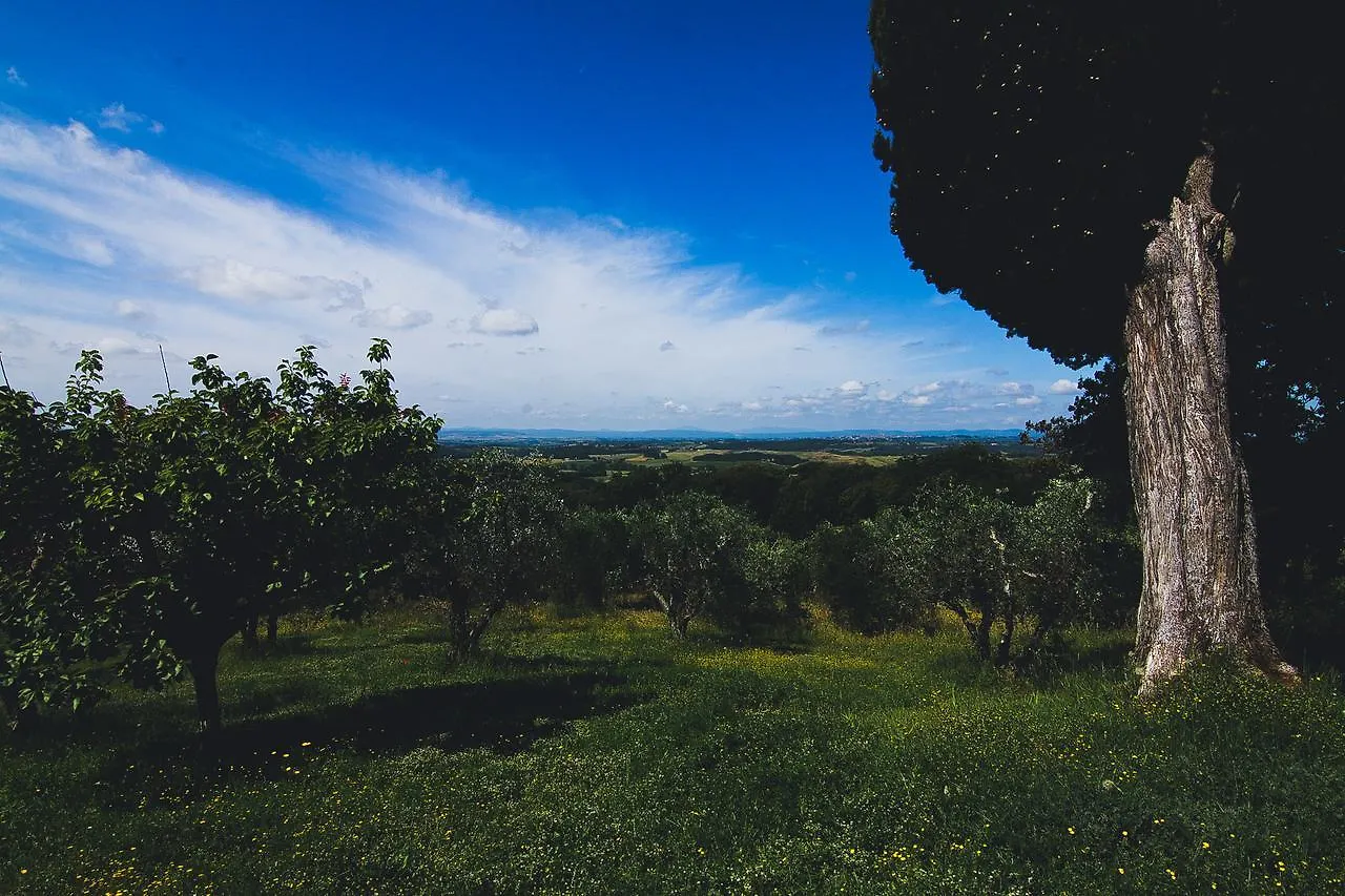 Agriturismo Poggio Bonelli Castelnuovo Berardenga